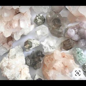 Meet your Posher, Eden